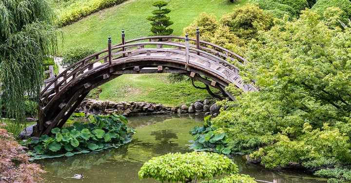 fernöstlicher Garten mit kleinem Teich, stark gebogene Brücke aus Holz führt über das Wasser. viele grüne Sträucher und Wiese rundherum. regnerische Stimmung