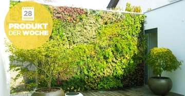 Wandgarten voller grüner und bunter Pflanzen bedeckt große Außenwand zwei Topfbäume im modernen Innenhof Holzboden gelber Kreis mit Text 28 PRODUKT DER WOCHE links oben