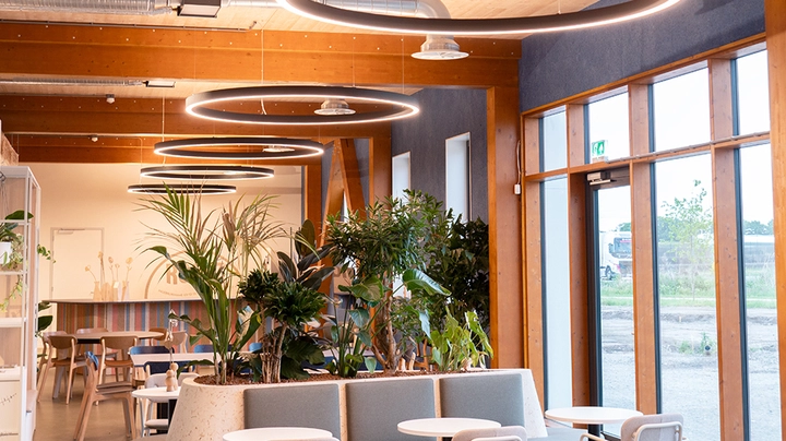 Galerie-Bild 3: modernes Cafe mit viel Holz und warmem Licht dank schöner Deckenbeleuchtung