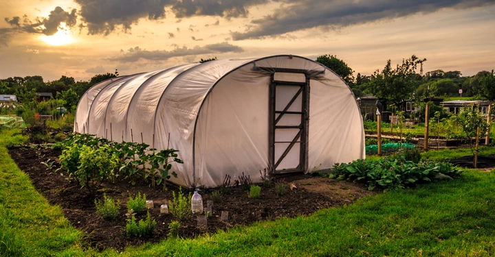Ein weißer Folientunnel in einem Garten steht im Vordergrund und Gemüse wächst daneben die Sonne geht unter und wirft ein warmes Licht über die Szene Bäume und weitere Pflanzen sind im Hintergrund