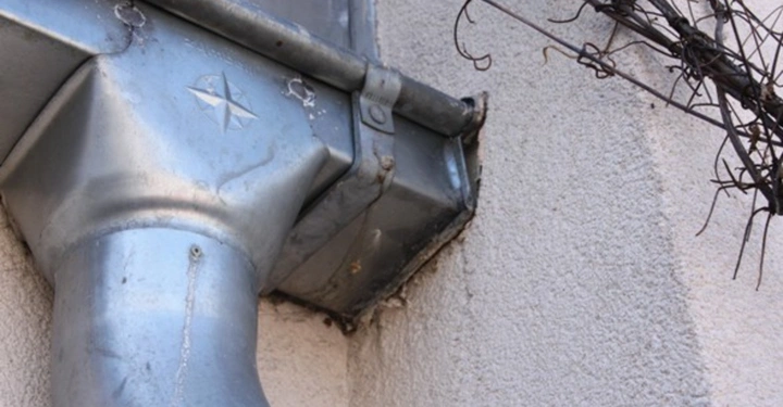 Galerie-Bild 18: Ein metallisches Wasserrohr führt von einem Dach hinunter und wird von einer Wand gestützt. Einige kahle Äste sind auf der rechten Seite an der Wand angebracht.