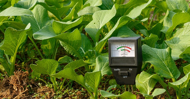 Soil-Meter steckt bei Pflanzen im Garten, um die Qualität der Erde zu prüfen.