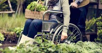 Eine Person im Rollstuhl erntet grünes Gemüse in einem Garten. Eine andere Person steht dahinter und scheint zu helfen. Ringsum sind Pflanzen und Grünflächen zu sehen.