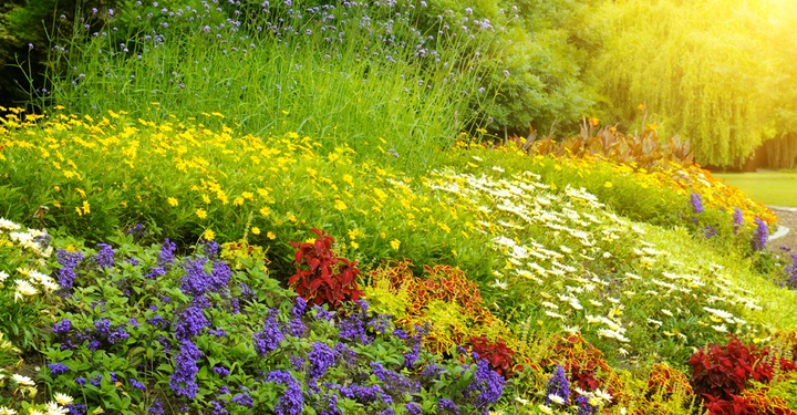 Bunte Blumenbeete blühen in verschiedenen Farben in einem gepflegten Park bei Sonnenuntergang umgeben von grünen Bäumen und Rasenflächen die eine friedliche Naturszene schaffen.