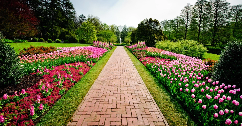 Ein gepflasterter Weg führt durch einen farbenfrohen Garten mit vielen blühenden Blumen auf beiden Seiten im Hintergrund hohe Bäume und ein hellblauer Himmel.