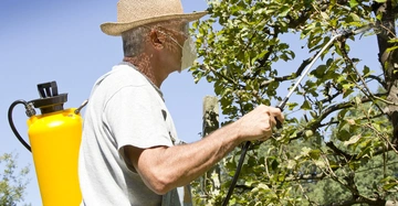 Ein Mann trägt einen Strohhut und eine Maske, sprüht mit einem Gelben Sprühtank eine Pflanze in einem grünen Gartenbereich