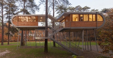 Baumhaus steht auf hohen Stelzen mitten im Wald mit Wendeltreppe in der Mitte umgeben von herbstlichen Bäumen und grünem Boden im Abendlicht.