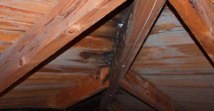 Galerie-Bild 27: Holzbalken zeigen Wasserschaden in einem Dachboden Umgebung ist dunkel und von anderen Holzbrettern umgeben.