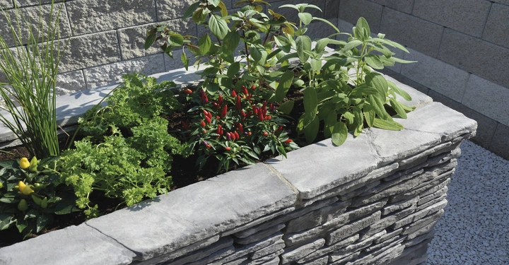 Galerie-Bild 10: Steinpflanzbehälter wächst verschiedene Pflanzen und Kräuter in sonnenbeschienenem Gartenbereich umgeben von Steinmauern mit künstlich angelegtem Kiesboden.