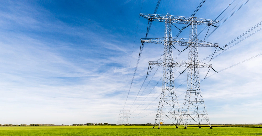 Strommast steht auf grüner Wiese zieht Stromleitungen und unter blauem Himmel. Im Hintergrund sind weitere Masten und eine Baumgrenze zu sehen.