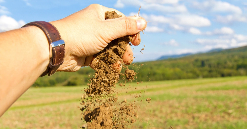 Eine Männerhand zerreibt frische Erde in der Hand und lässt sie herunterieseln. Im Hintergrund Ackerfläche und Wald.
