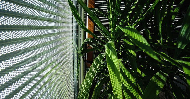 Galerie-Bild 4: 5 Kopie.jpg