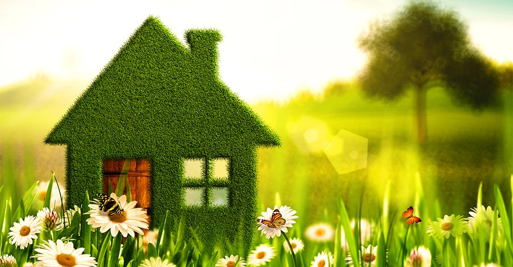 Ein grasbedecktes Haus steht auf einer Wiese mit Gänseblümchen Schmetterlinge fliegen herum im Hintergrund ein unscharfer Baum und helle Sonne strahlt über das Landschaftsbild