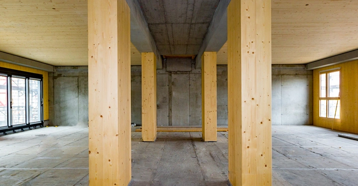 Holzsäulen stehen in einem leeren Raum. Die Säulen unterstützen eine hölzerne Zimmerdecke. Der Raum hat Betonwände und große Fenster auf beiden Seiten. Der Boden ist rau und unvollendet.