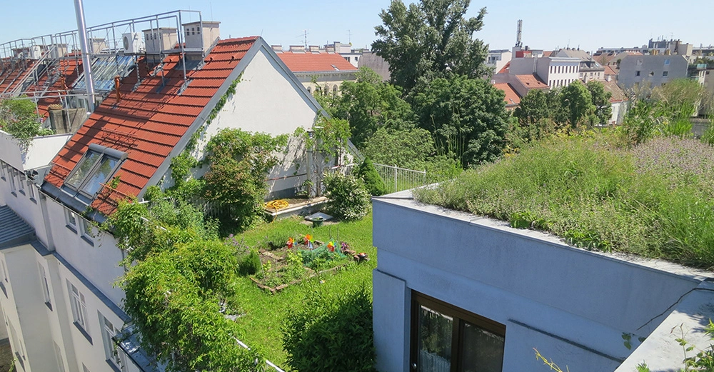 Stadthaus mit begrüntem Flachdach, in der Mitte der Rasenfläche ist ein Gemüsebeet angelegt