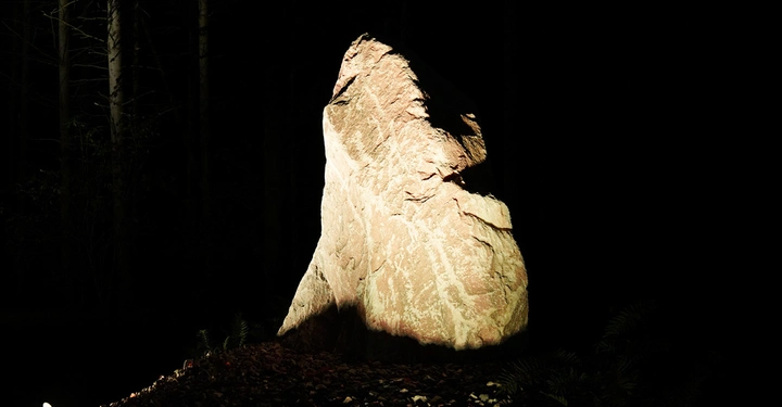 Ein großer Felsen wird nachts von einem Lichtstrahl beleuchtet, der ihn aus der Dunkelheit im Wald hervorhebt.