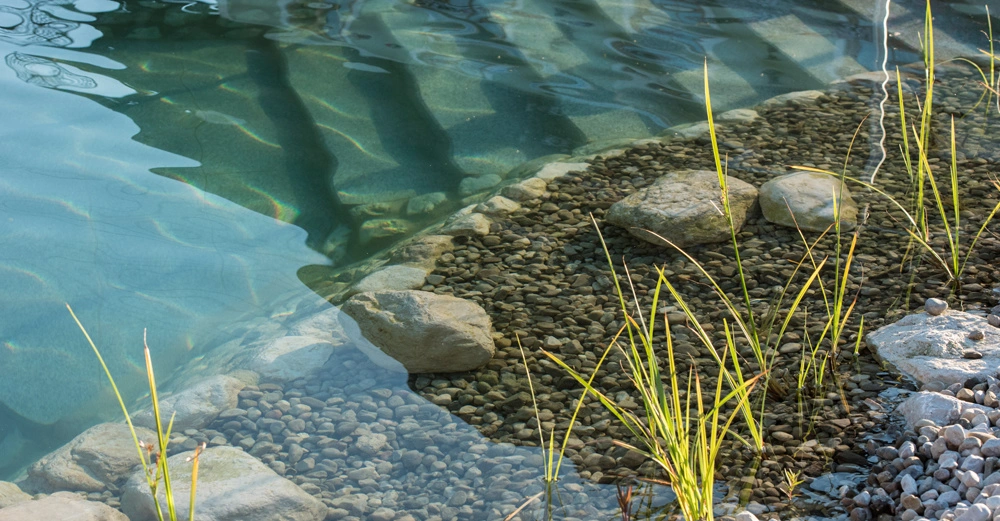 Kieselsteine und Wasserpflanzen säumen einen klaren, grünlichen Teich; große Felsen liegen an den Rändern im flachen Wasser.