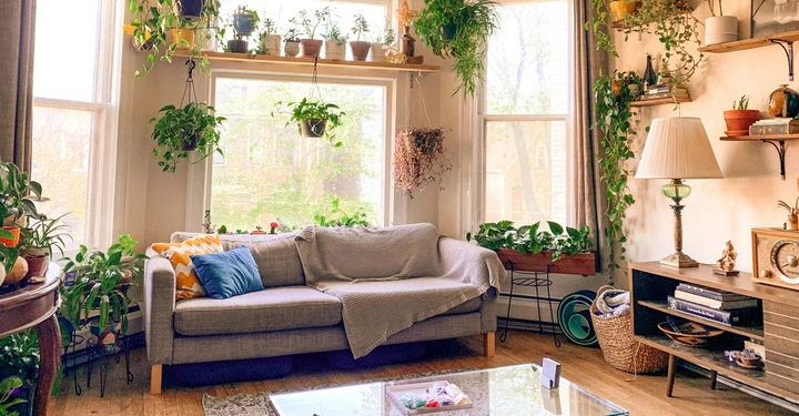 Graues Sofa steht in einem hellen Wohnzimmer mit vielen Zimmerpflanzen auf Regalen und Fensterbänken Holzboden Couchtisch aus Glas Stehlampe Regal mit Büchern und Dekorationen im Hintergrund.