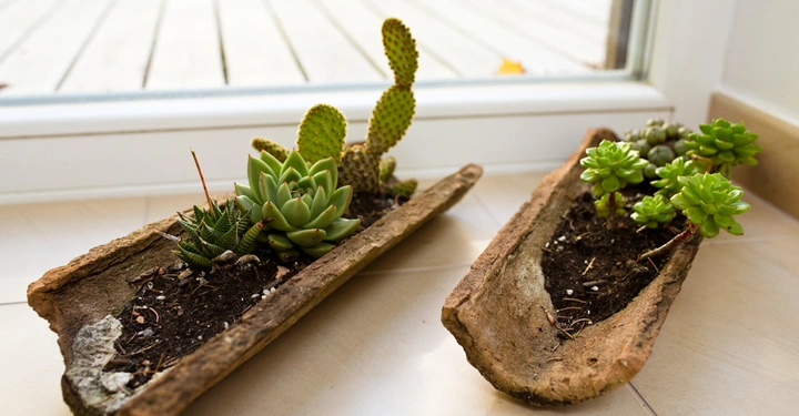 Zwei mit Sukkulenten bepflanzte Holztröge stehen nebeneinander auf einem Fliesenboden vor einem Fenster. Draußen ist ein Holzdeck und eine grüne Rasenfläche sichtbar.