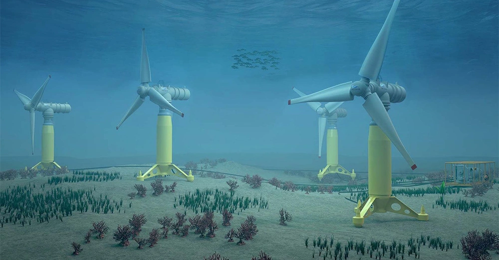 cd8fd7af-95fb-4aac-8da3-7bb9ae501a05 Kopie.jpg