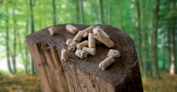 Holzpellets liegen auf einem Baumstumpf in einem grünen Wald.