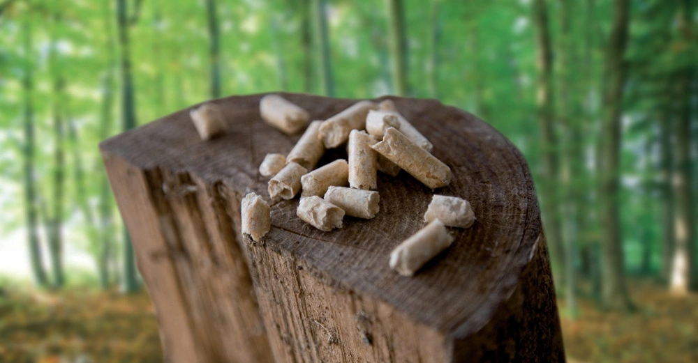 Holzpellets liegen auf einem Baumstumpf in einem grünen Wald.