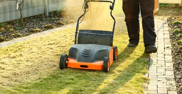 Eine Person schiebt einen orangefarbenen Rasenmäher über einen Rasen und erzeugt eine Staubwolke. Im Hintergrund befindet sich ein Zaun und ein Gehweg aus Pflastersteinen.