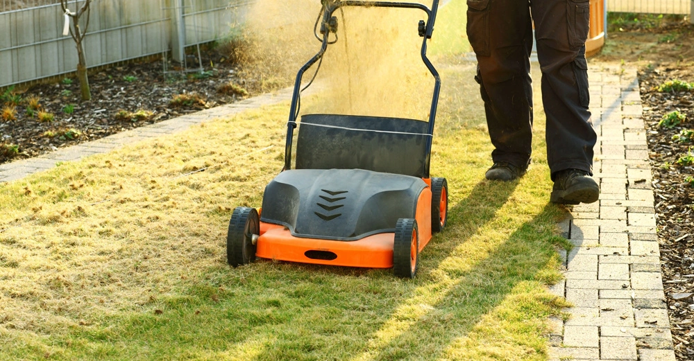 Eine Person schiebt einen orangefarbenen Rasenmäher über einen Rasen und erzeugt eine Staubwolke. Im Hintergrund befindet sich ein Zaun und ein Gehweg aus Pflastersteinen.
