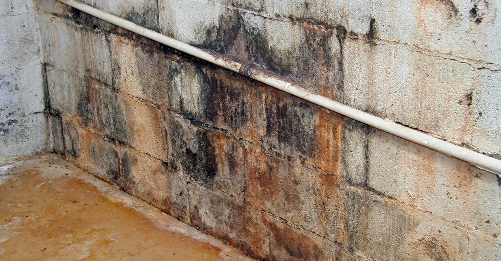 Ein schimmeliges Rohr verlauft an einer verschmutzten Wand in einem feuchten Keller mit nassem Boden.