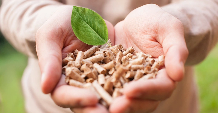 Galerie-Bild 3: Mann hält eine Handvoll Holzpellets mit einem grünen Blatt
