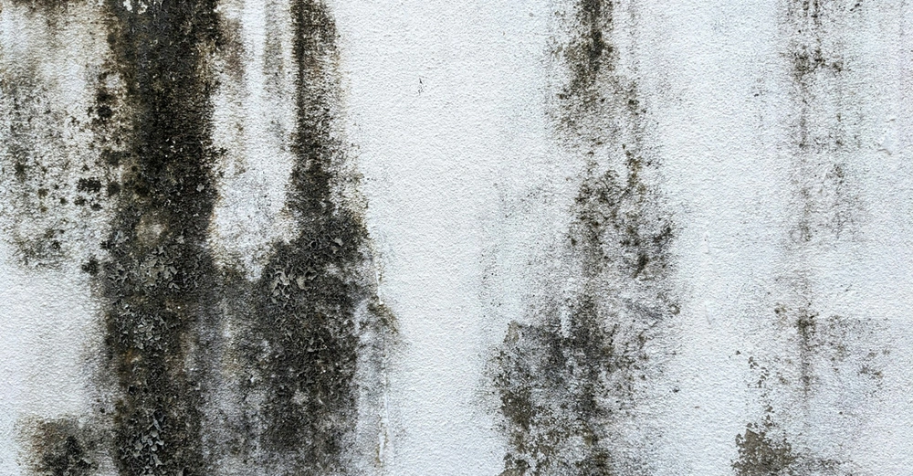 weiße Wand mit starkem Schimmelbefall schwarzen Schimmels.