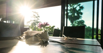 Vase mit pinker Blume steht auf einem gedeckten Tisch wird von Sonnenlicht durch große Fenster im Hintergrund beleuchtet Ringsherum sind leere Stühle und draußen sind Bäume sichtbar