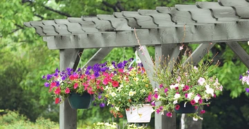 Blumentöpfe hängen an einer hölzernen Pergola Blüten in verschiedenen Farben blühen umgeben von üppigem grünem Laub im Freien.