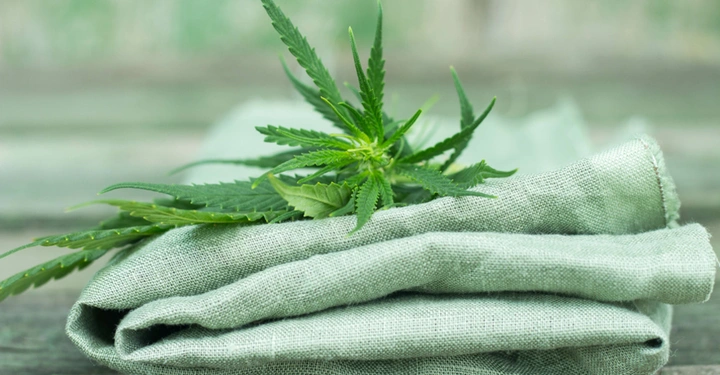 Ein Hanfblatt liegt auf einem zusammengefalteten Leinentuch auf einem hölzernen Tisch vor einem unscharfen grünen Hintergrund.