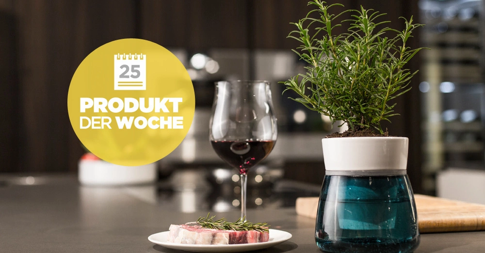 Pflanze steht neben einem Glas Rotwein und einem Teller mit Fleischstück in einer modernen Küche Text im gelben Kreis 25 PRODUKT DER WOCHE.