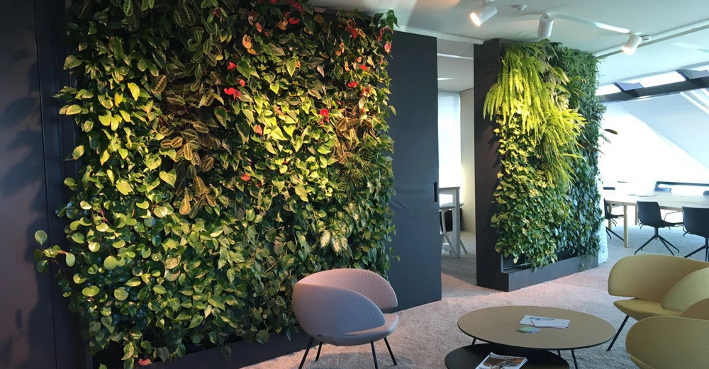 Grüne Pflanzenwände an den Wänden eines modernen Bürositzbereichs Sitzgelegenheiten und Tische in der Mitte weiße Decke mit Lichtern tepichbedeckter Boden und große Fenster im Hintergrund.