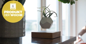 Ein geometrischer Pflanzenhalter schwebt über einer Holzplattform in einem hellen Raum mit großen Fenstern. Text: "6 PRODUKT DER WOCHE".