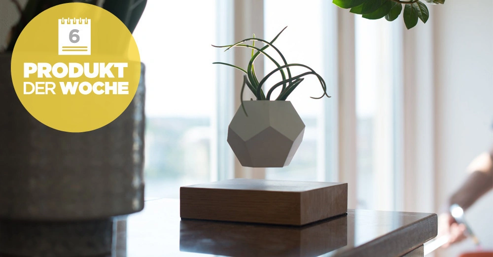 Ein geometrischer Pflanzenhalter schwebt über einer Holzplattform in einem hellen Raum mit großen Fenstern. Text: "6 PRODUKT DER WOCHE".