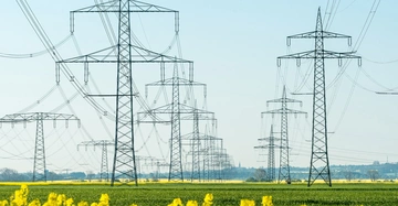 Mehrere hohe Strommasten tragen elektrische Leitungen über grüne Felder mit einigen gelben Blumen im Vordergrund während ein bewaldeter Horizont und ein blauer Himmel die Szenerie umgeben