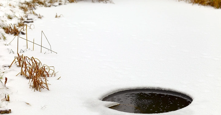 Ein zugefrorener Teich mit einem eisfreien Loch umgeben von schneebedecktem Boden und vertrocknetem Gras am Ufer in einer winterlichen Landschaft