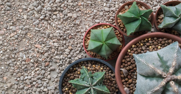 Galerie-Bild 5: AdobeStock_100422416.jpg