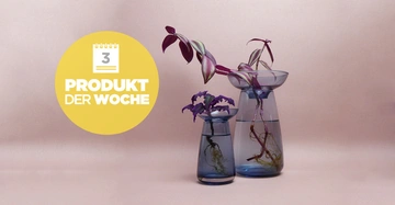 Drei Glasvasen mit lila Pflanzen und Wurzeln in Wasser auf einem hellrosa Hintergrund rechts Kalender-Symbol mit Zahl 3 und Text PRODUKT DER WOCHE in weiß auf gelbem Kreis links.