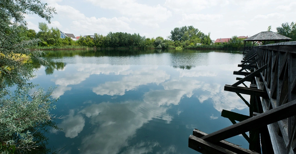 Ein Holzsteg ragt in einen ruhigen See hinein Bäume und Gebäude im Hintergrund erscheinen auf der Wasseroberfläche der Himmel reflektiert sich auf dem Seeufer im Grünen eingerahmt.