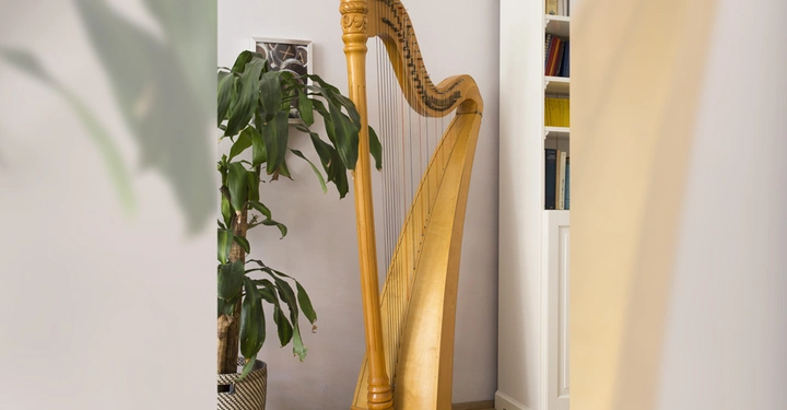Galerie-Bild 6: Harfe steht statisch in einem Raum neben einer großen Topfpflanze und einem weißen Bücherregal auf einem Holzfußboden