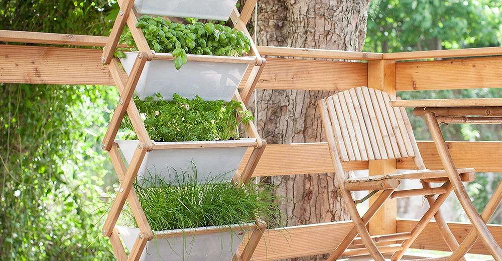 Pflanzen wachsen in einem vertikalen Holzrahmen auf einer Terrasse neben einem Holztisch und einem Stuhl unter einem großen Baum mit üppigem grünen Laub.