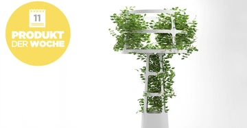 Weiße vertikale Pflanzenstruktur umwunden von grünen Blättern auf weißem Hintergrund links gelber Kreis mit Kalender und Text 11 PRODUKT DER WOCHE