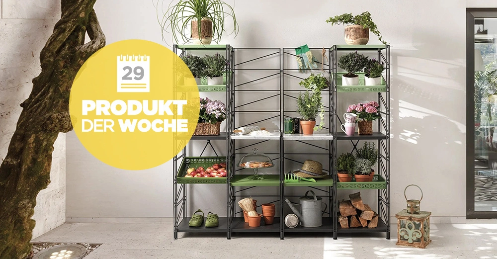 Regal mit Pflanzen und Gartenwerkzeugen steht in einem hellen Raum neben einem Baum und einem Fenster. Text: Produkt der Woche 29.