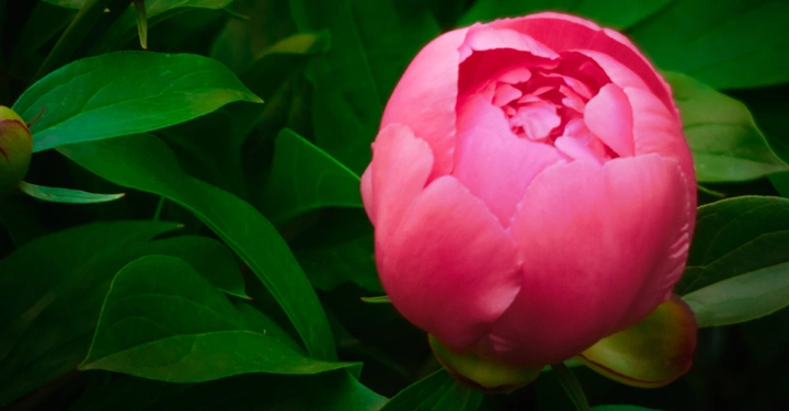 Galerie-Bild 3: AdobeStock_251039141.jpg