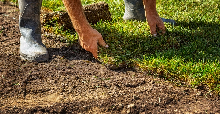 Person pflanzt auf einer Wiese Grasbüschel in den Boden ein trägt Gummistiefel Umgebung ist eine Rasenfläche.