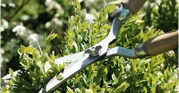 Gartenbau - wohnnet.at